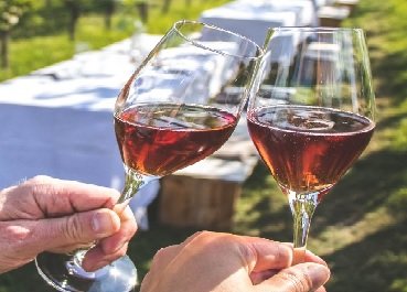 Wijnbouwcenter Groesbeek